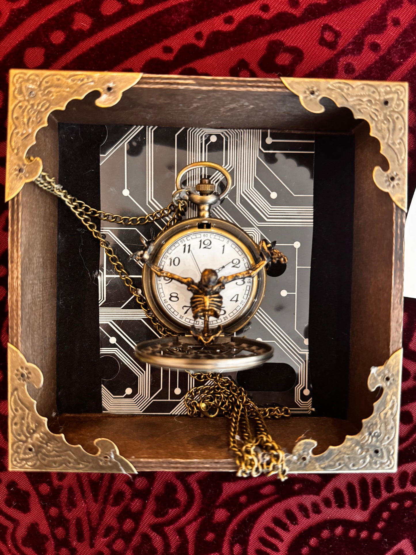 Trapped - Circuitry & Pocketwatch Shadowbox